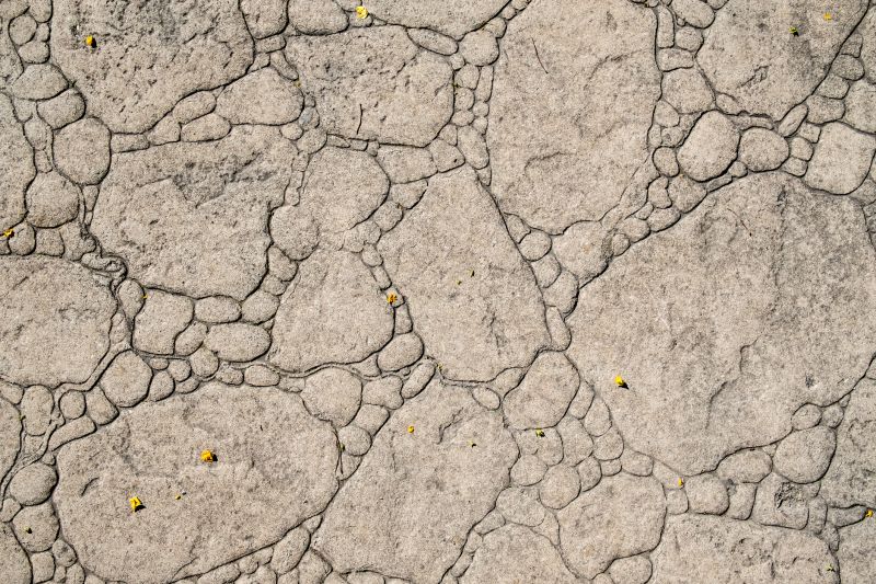 Decorative Concrete Repair in Jackson, MI
