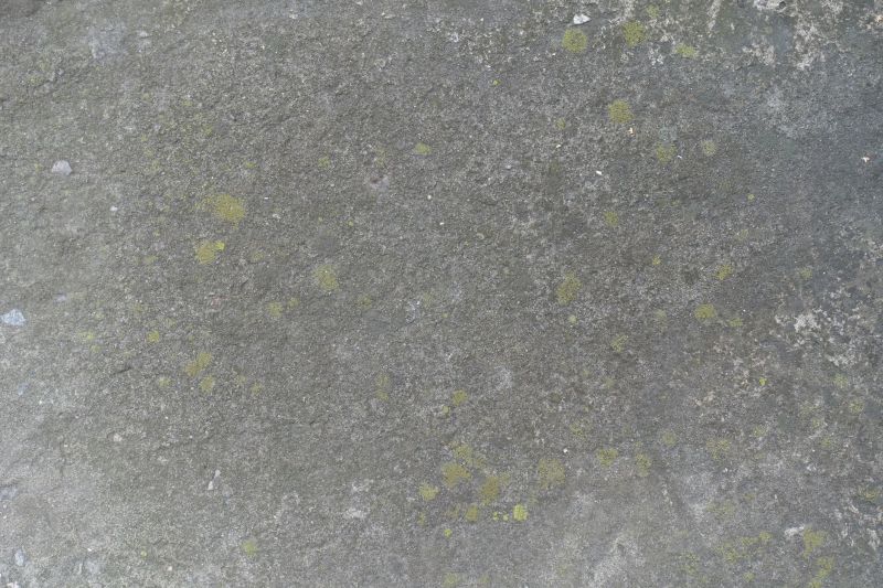 Concrete Floor Staining in Fort Worth, TX