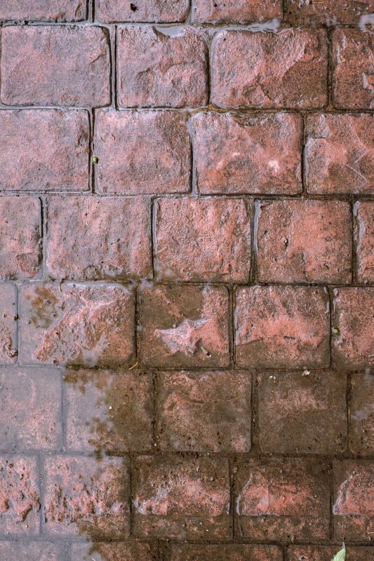 Decorative Concrete Repair in Lakeland, FL